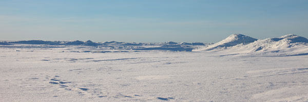artic-zhg