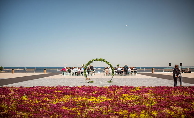 Wedding at War Memorial