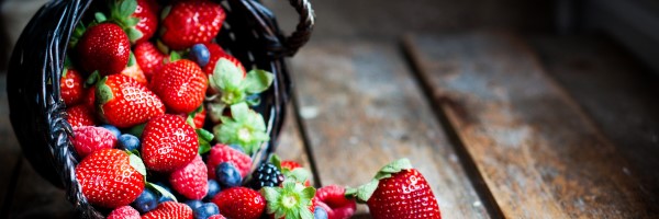 fruit-zhg