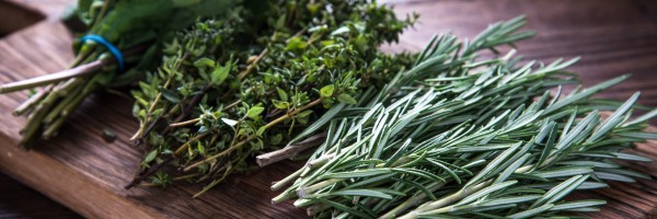 herbs-zhg