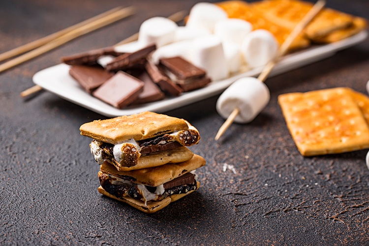 S'mores at Outdoor Adventure Themed Picnic.