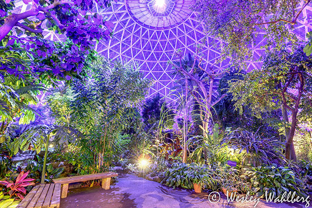 Corporate Event Hosted at The Domes