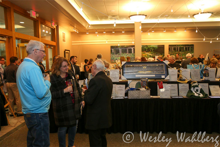 Auctions, raffles and more