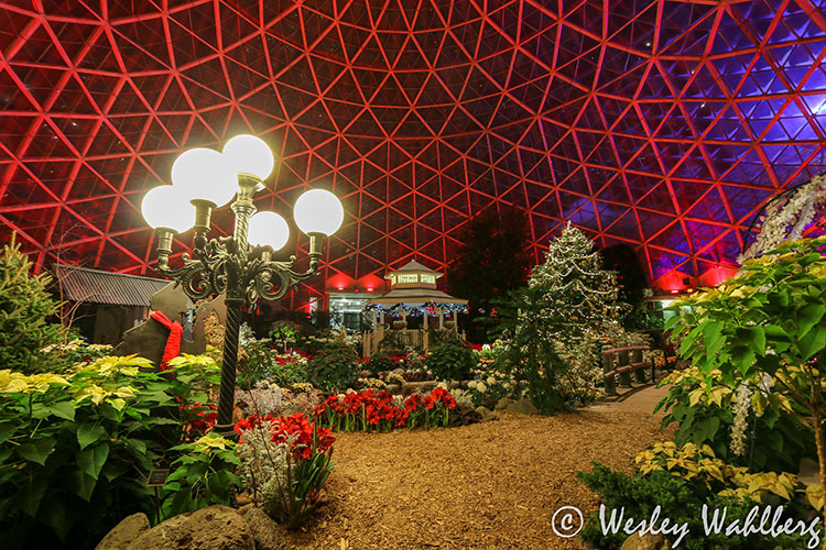 Holiday Events in the Festive Domes in Milwaukee