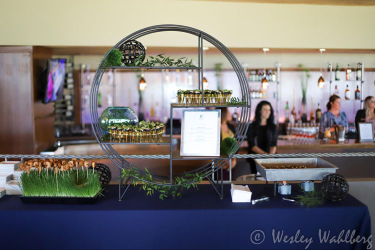 Creative Culinary Presentation