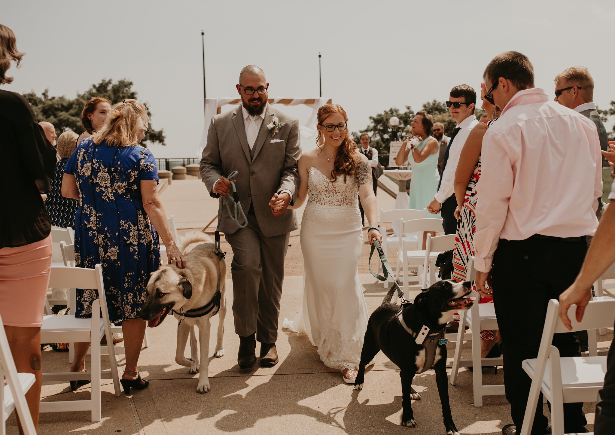 Bride and groom walking back up the isle with their dogs after their ceremony.