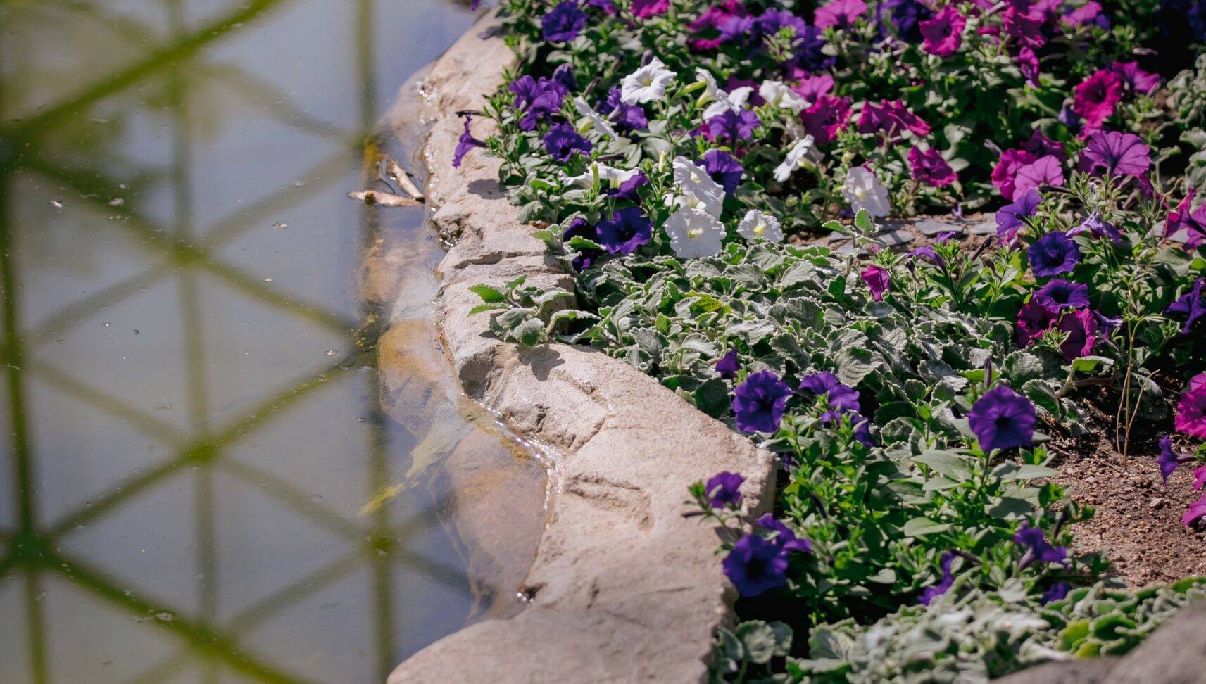 florals and water at the domes in milwaukee