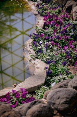 florals and water at the domes in milwaukee