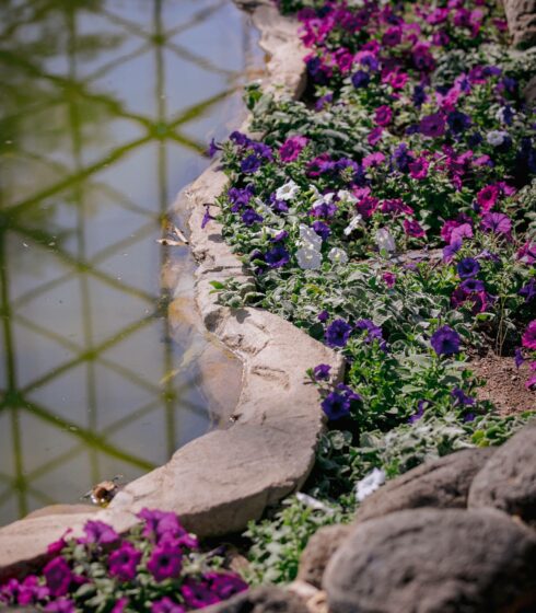 florals and water at the domes in milwaukee