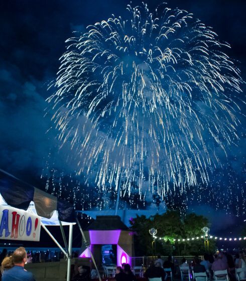 majestic fourth of july fireworks display