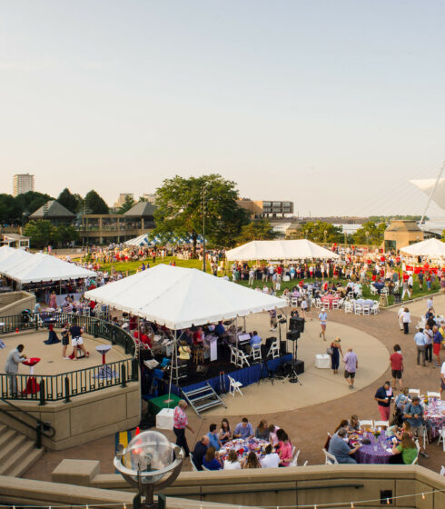 crowds attending picnic event