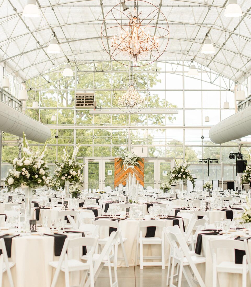 Greenhouse No. 7 ceremony chairs