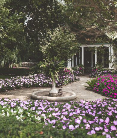 Garden with purple and pink flowers and a circular stone structure with a large plant