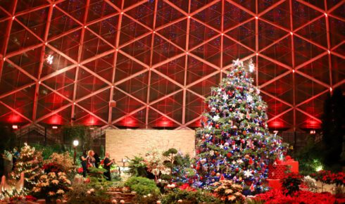 Holiday lights and tree at Boerner Botanical Gardens