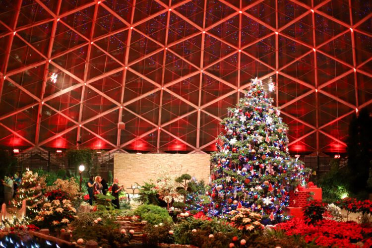 Holiday lights and tree at Boerner Botanical Gardens