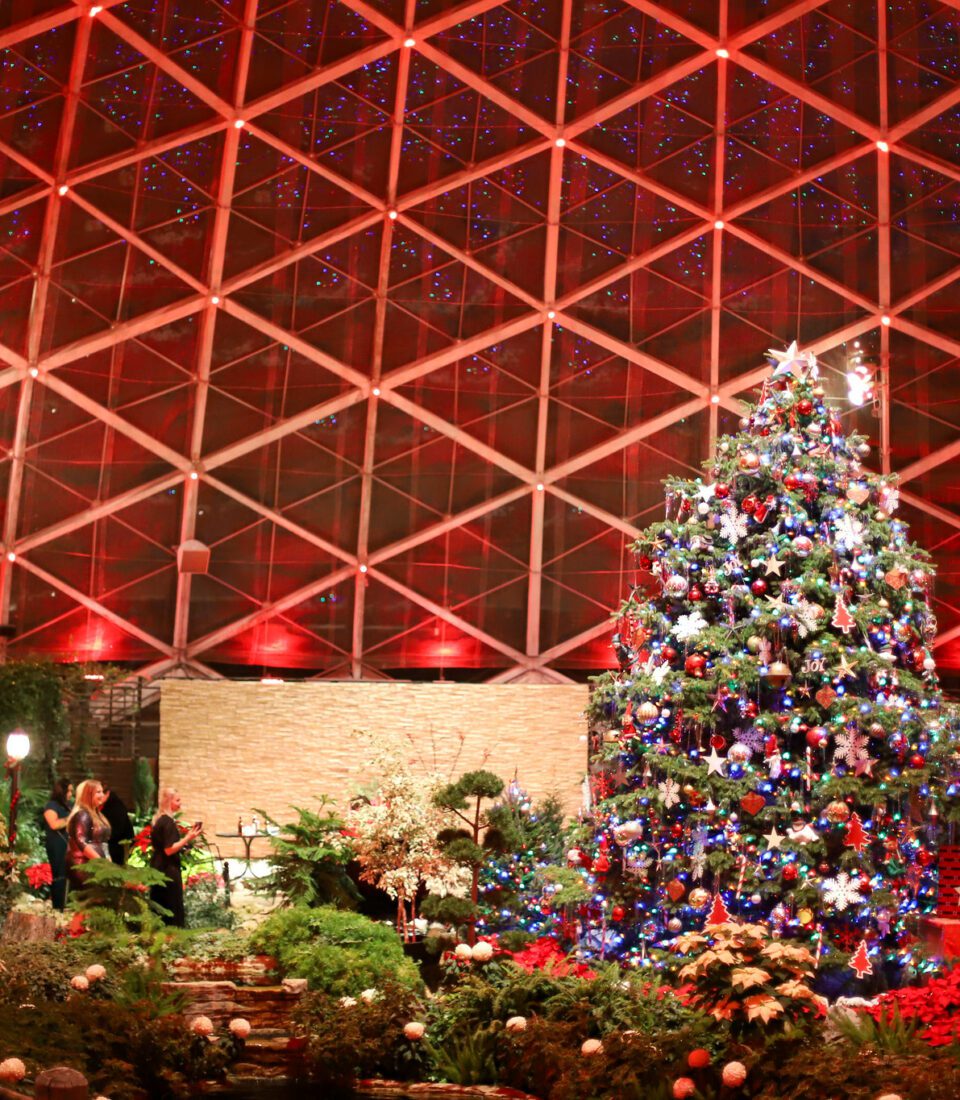 Holiday lights and tree at Boerner Botanical Gardens