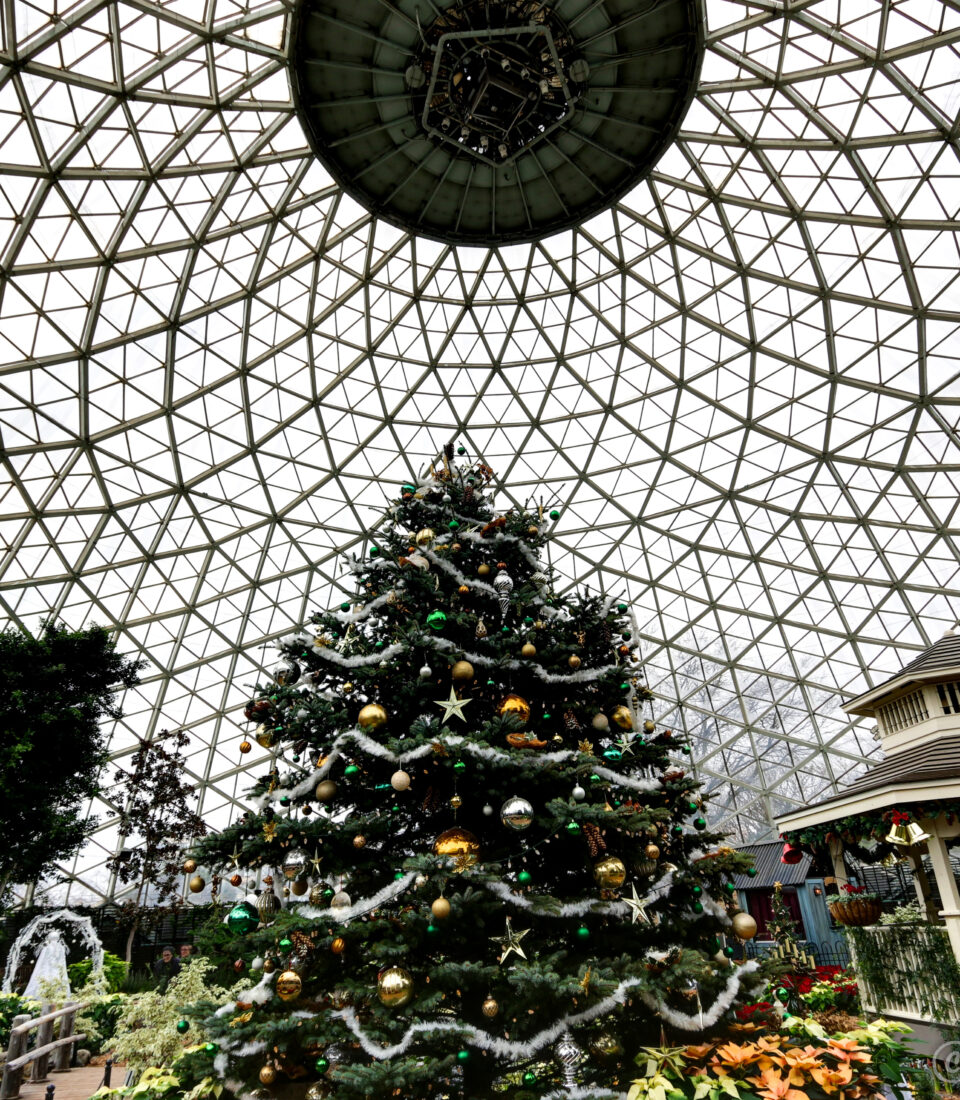 Milwaukee Domes Christmas tree